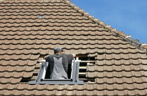 Pose de velux - Oisseau